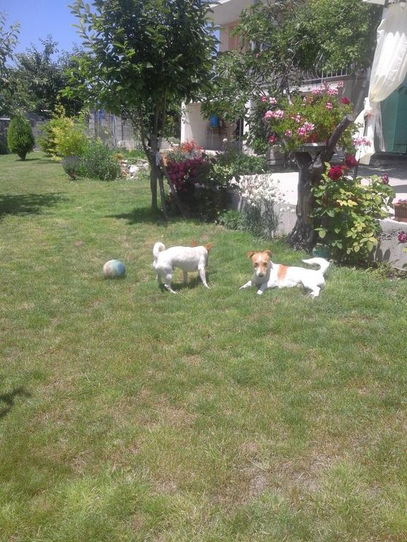 Stai Za Gosti Bazdarovi Apartamento Byala  Exterior foto